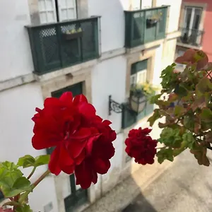 https://in-the-heart-of-lisbon.hotels-lisbon-portugal.com